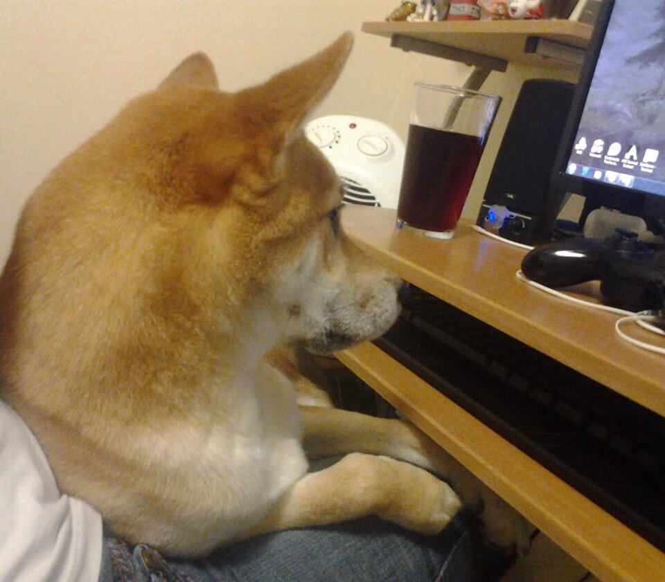 Kaiyun官方登录入口-“青少年足球公益训练营在边远地区落地，普及足球运动”，青少年足球训练基地