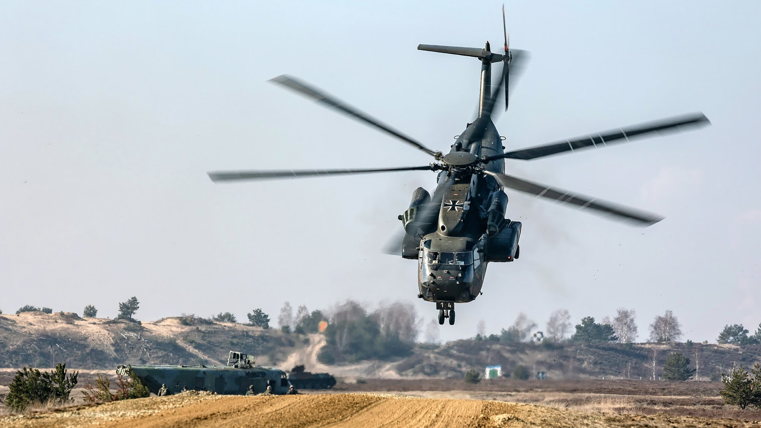 山野采蘑菇徒步,与大自然亲密接触,山上采蘑菇