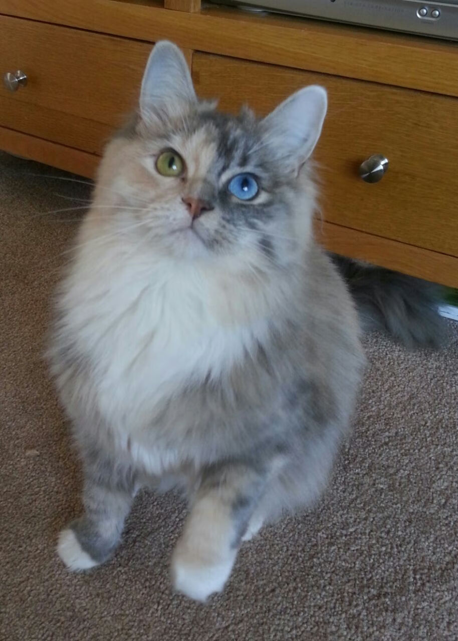 迈阿密热火“铁血防守”成为“季后赛黑马”!,迈阿密热火宣传片