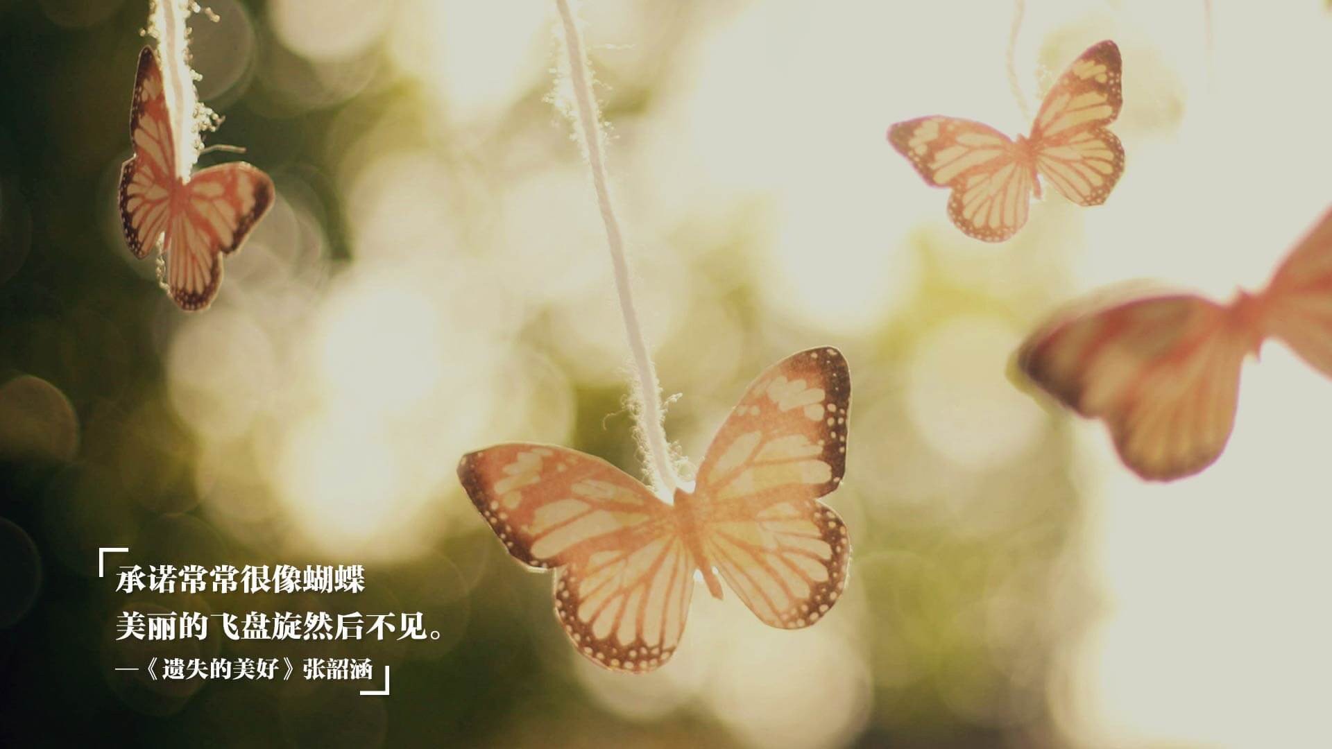 Kaiyun(中国)开云-金融创新助力中国足球经济快速增长，中国足球经济效益