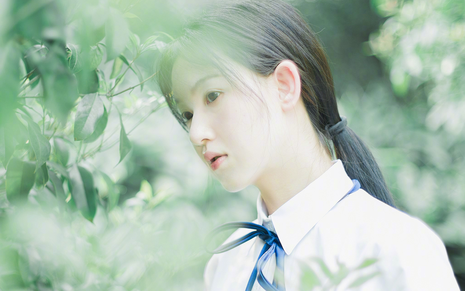 KAIYUN 中国大陆-“舞动青春”广场舞公益活动在全国多地举行