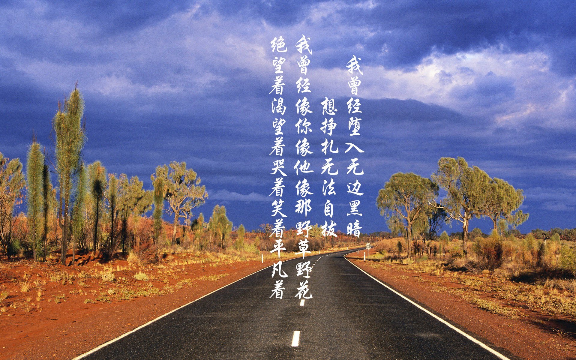 佩纳罗尔与国民队赛季表现对比,佩纳罗尔vs蒙得维的亚国民