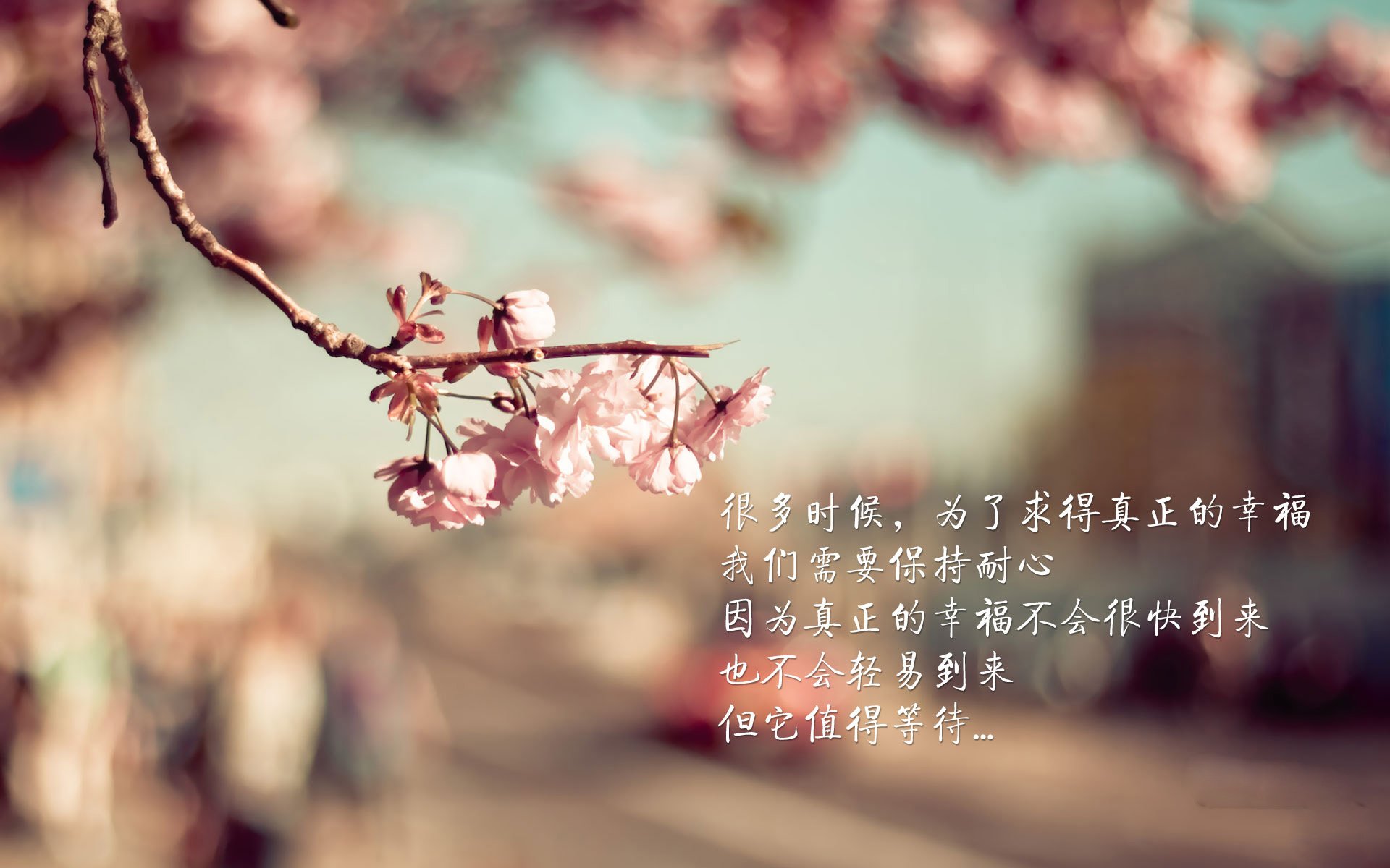 墨西哥队员滑雪鞋踢足球?新战术引争议,墨西哥滑板品牌