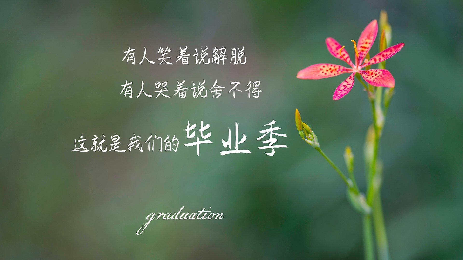 墨尔本联年轻力量不断涌现，墨尔本足球厉害吗